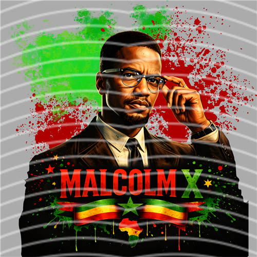 Black History in 1865-LY 264